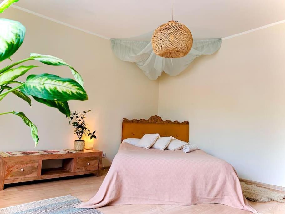 Three Bedroom With Two Terraces For 7People+Baby คอนัส ภายนอก รูปภาพ